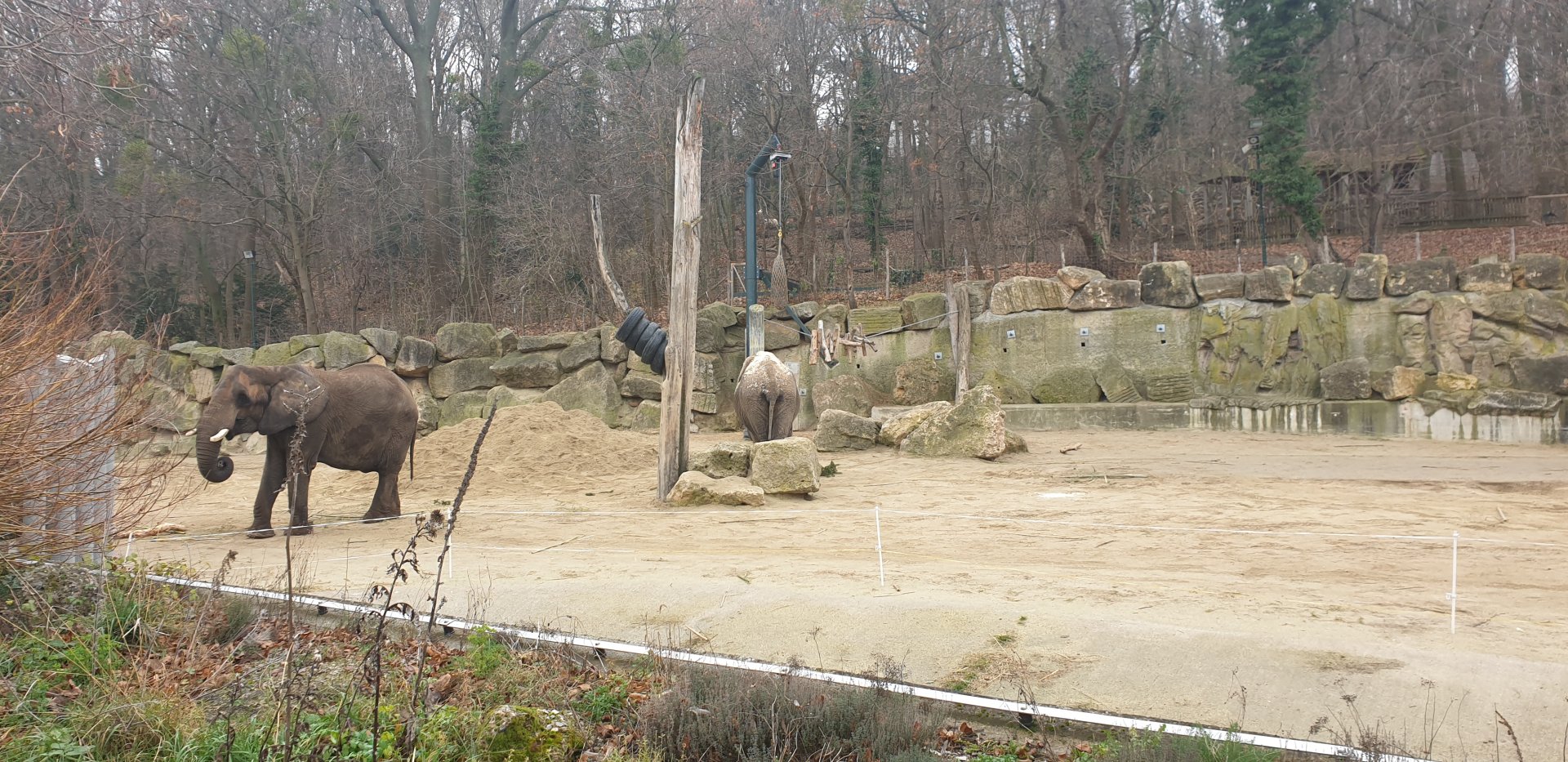 Elephant Park, outdoor