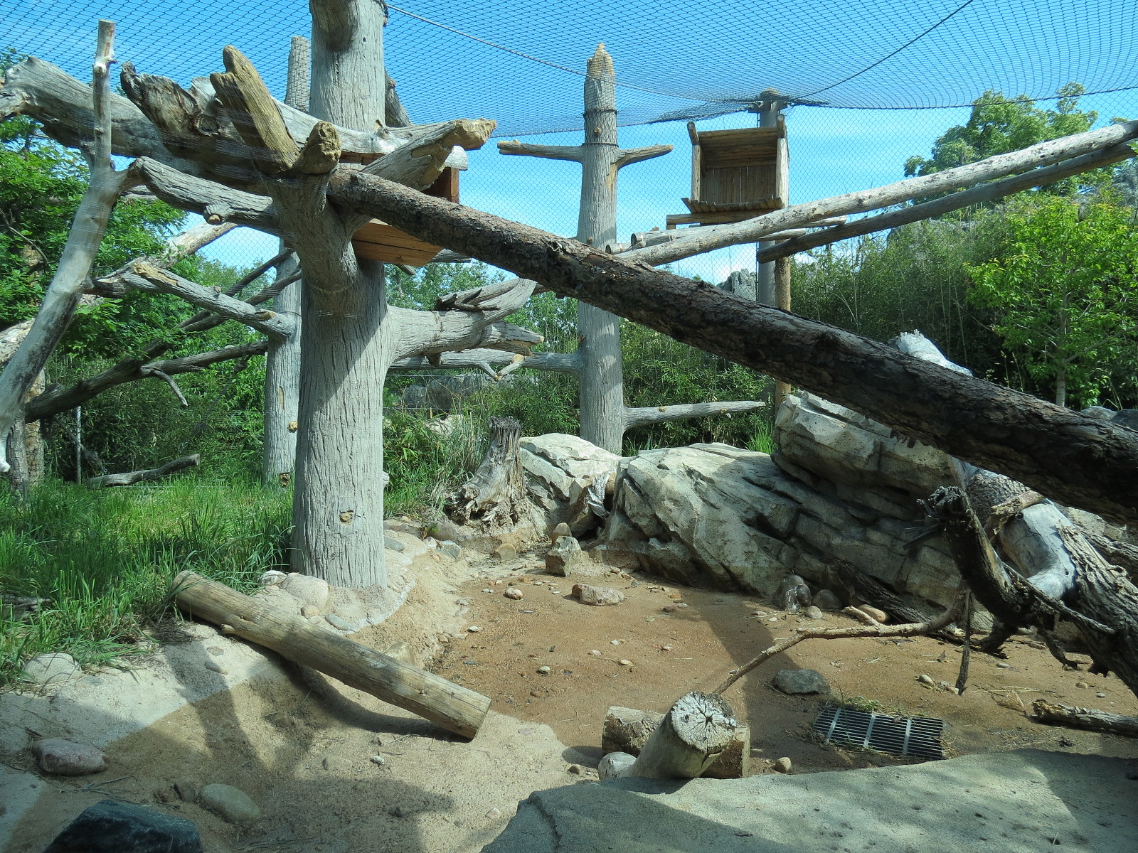 Elephant Passage - Clouded Leopard Exhibit