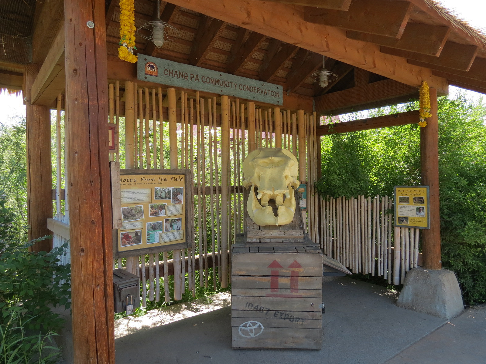 Elephant Passage - Conservation Hut
