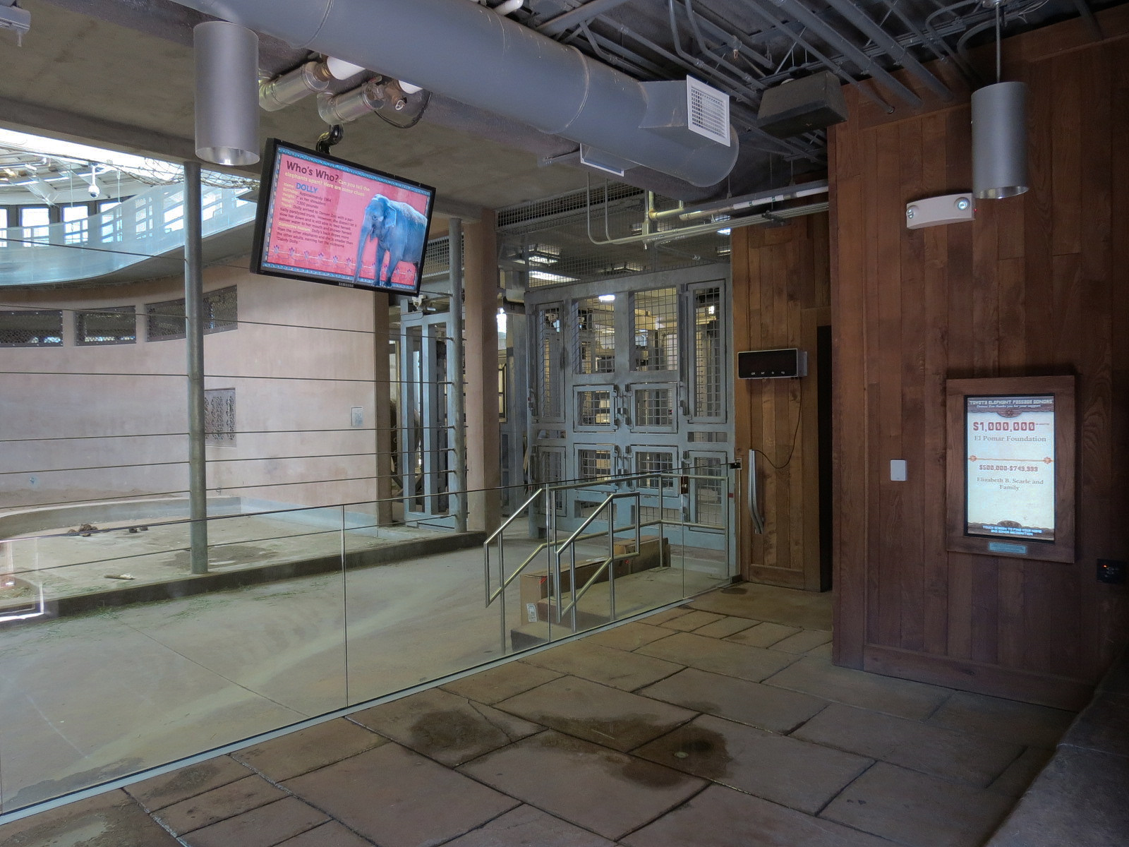 Elephant Passage - Elephant House Interior