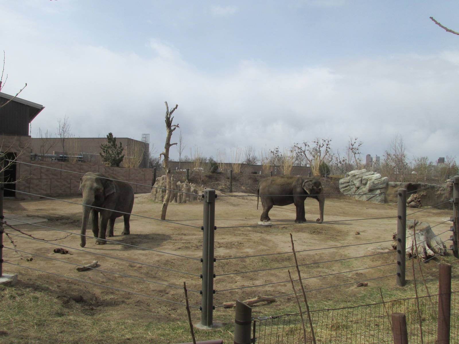 Elephant Passage - Elephant Yard