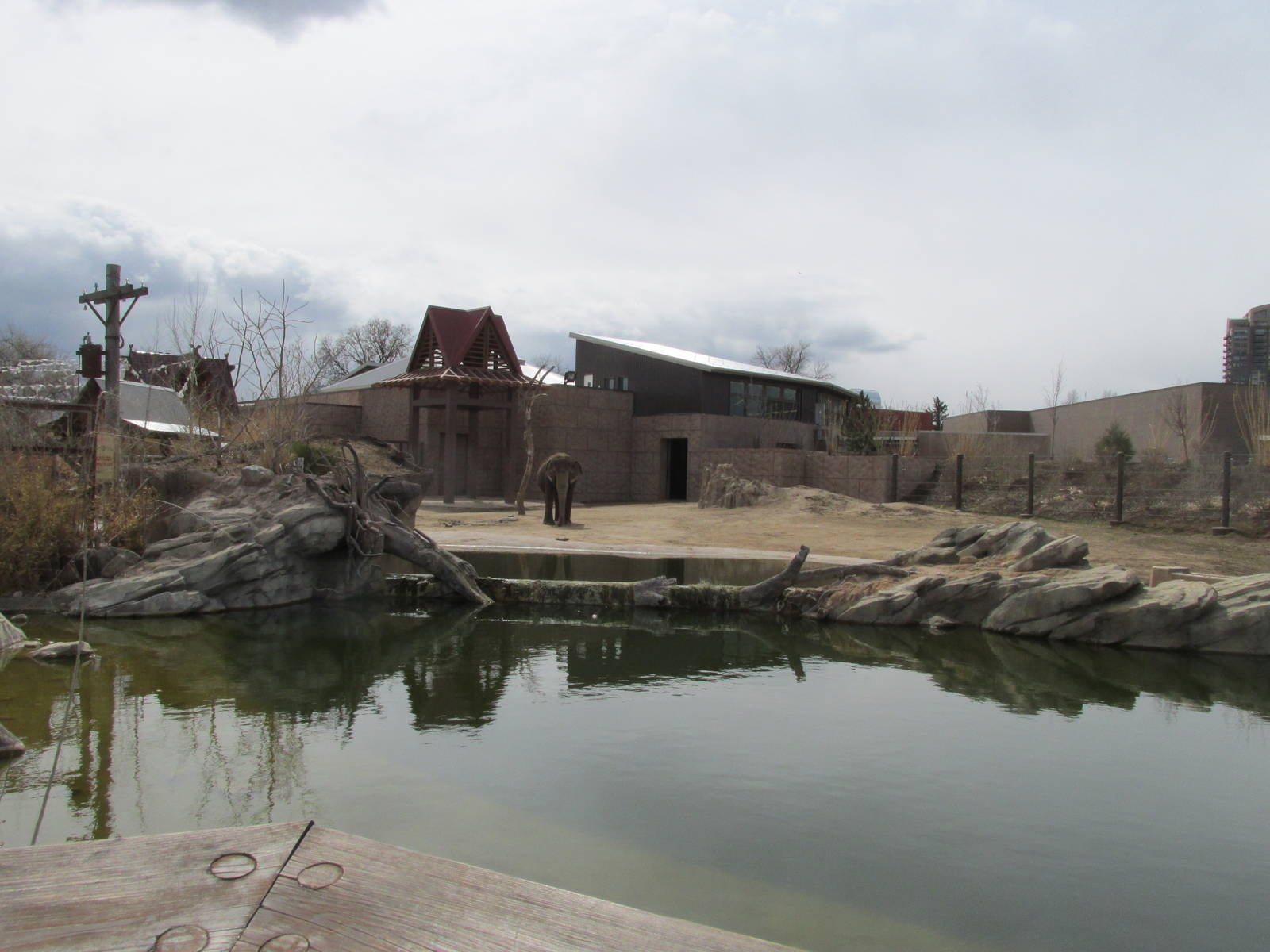 Elephant Passage - Elephant Yard