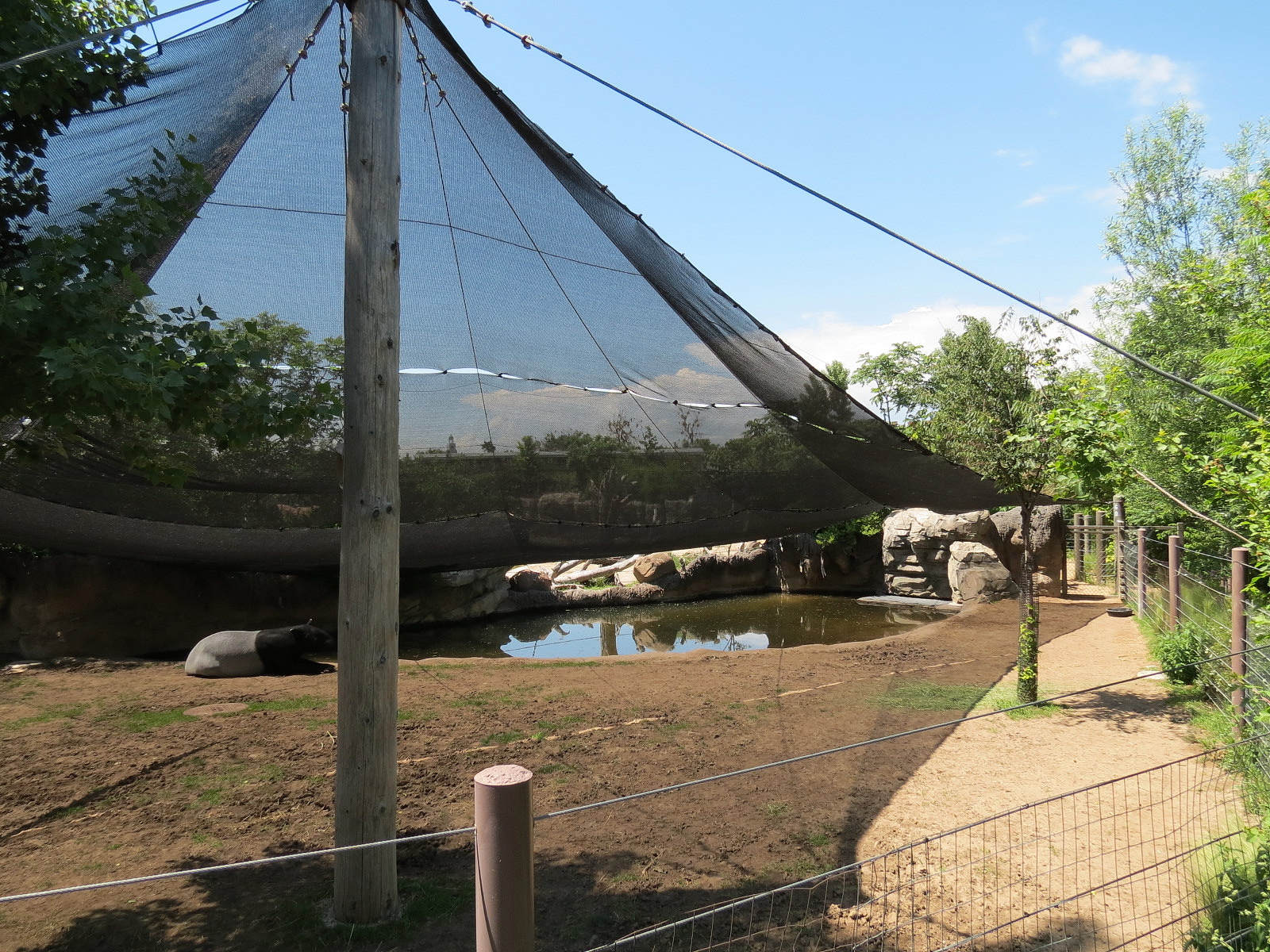 Elephant Passage - Malayan Tapir Exhibit