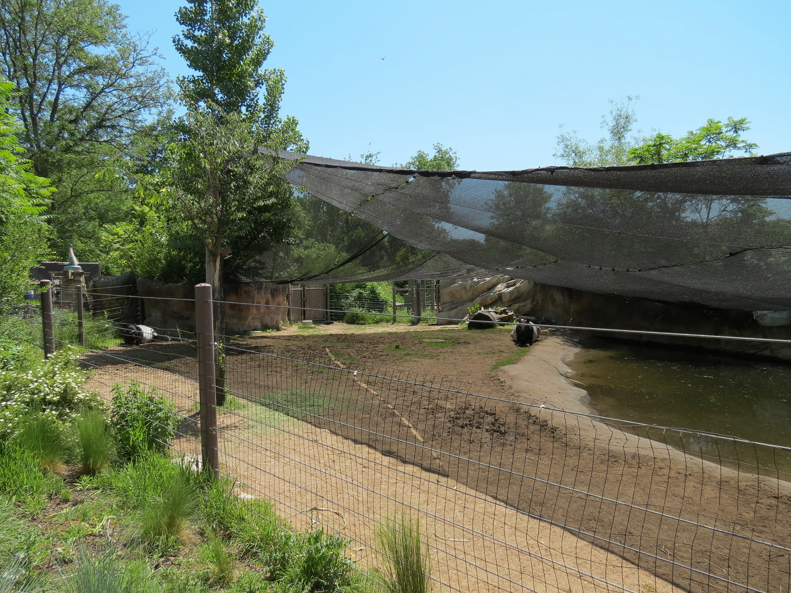 Elephant Passage - Malayan Tapir Exhibit