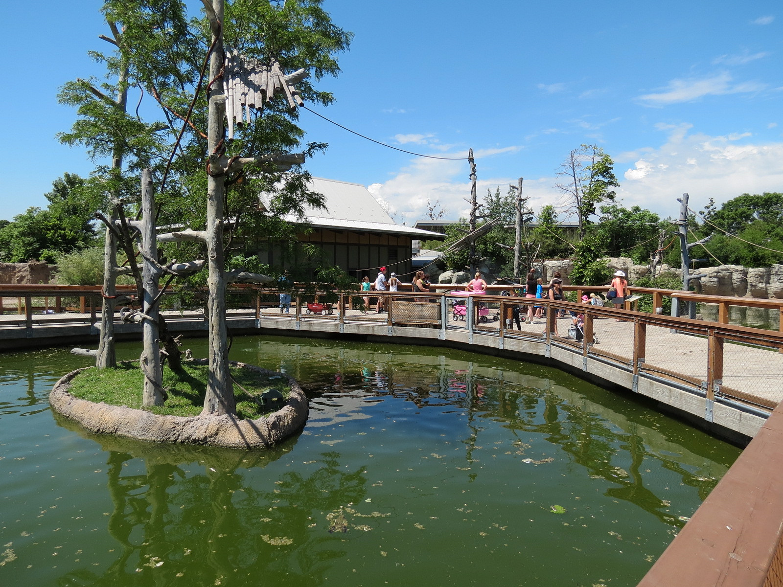 Elephant Passage - Northern White-cheeked Gibbon Exhibit