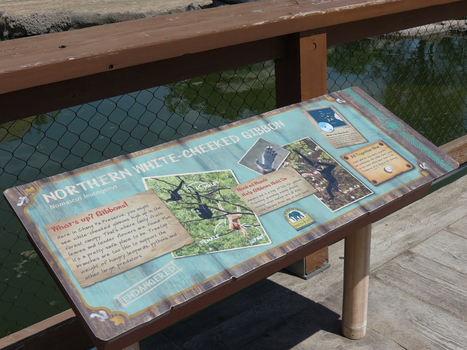 Elephant Passage - Northern White-cheeked Gibbon Exhibit