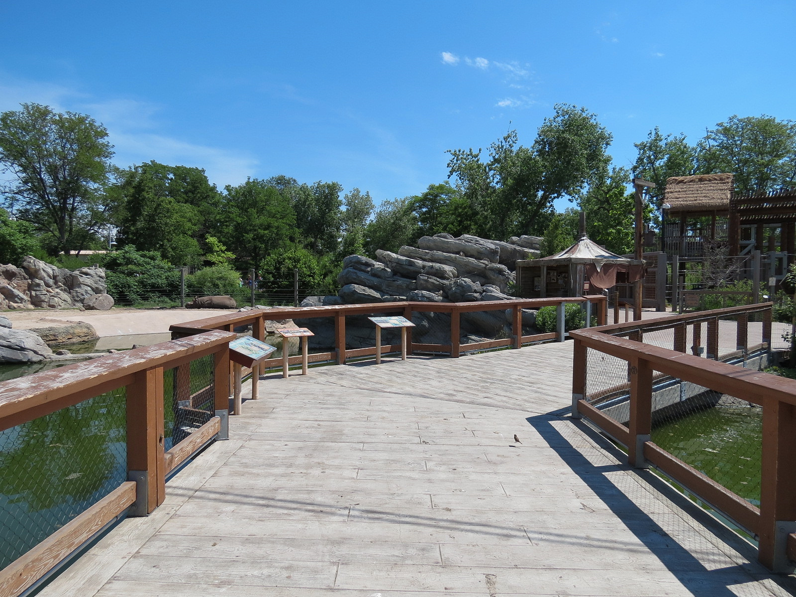 Elephant Passage - Northern White-cheeked Gibbon Exhibit