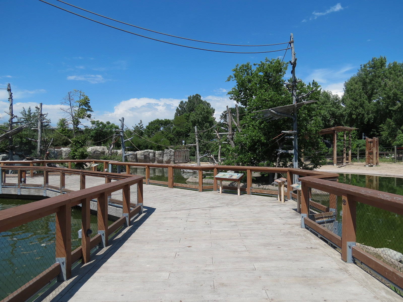 Elephant Passage - Northern White-cheeked Gibbon Exhibit