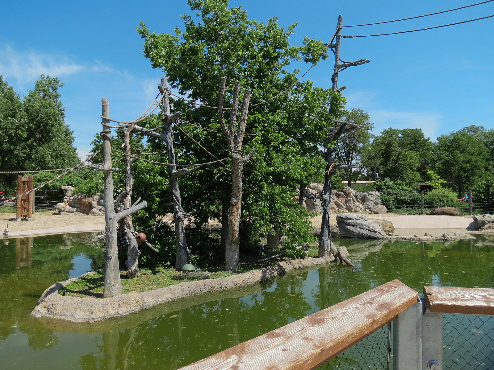 Elephant Passage - Northern White-cheeked Gibbon Exhibit