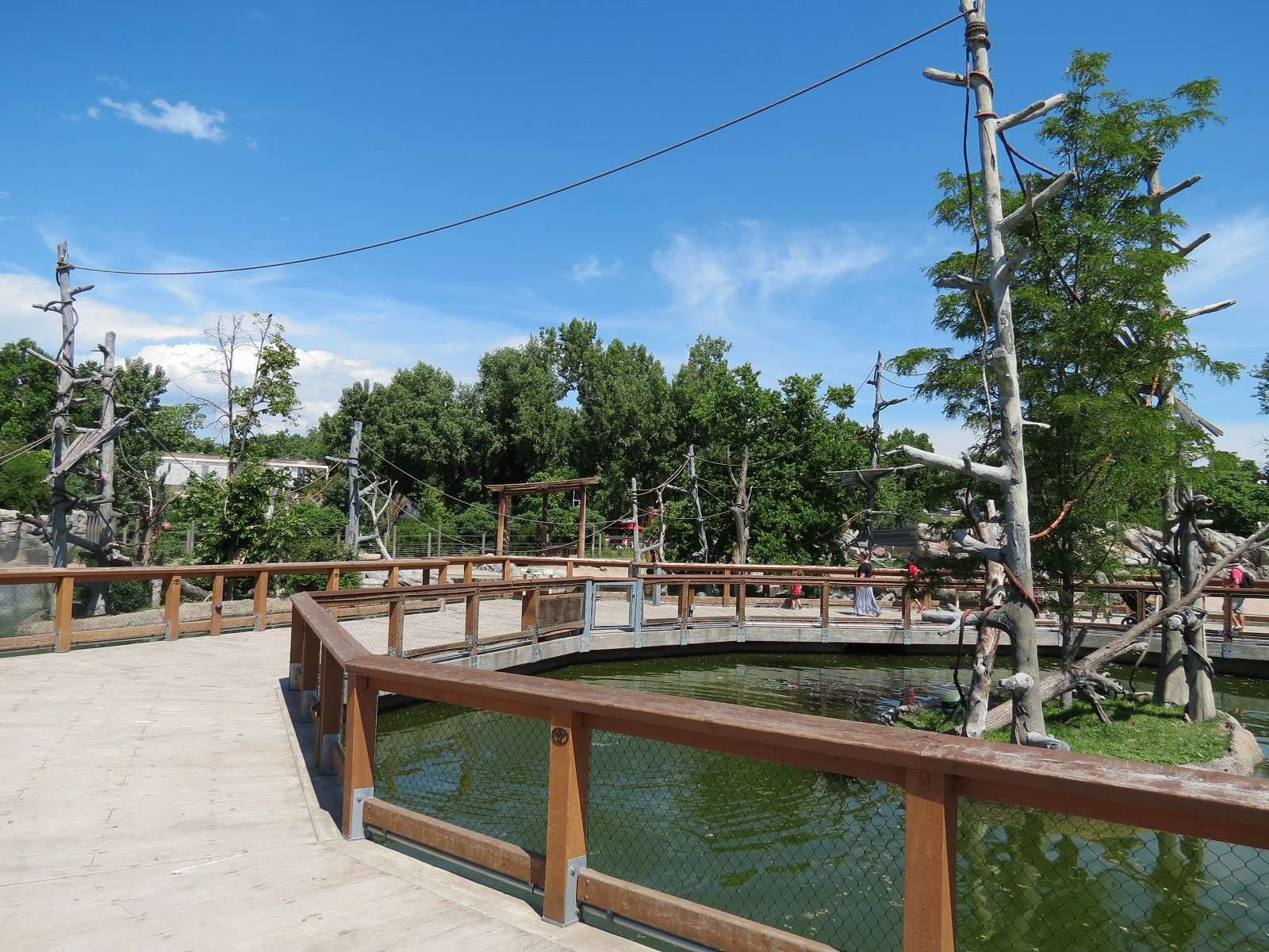 Elephant Passage - Northern White-cheeked Gibbon Exhibit