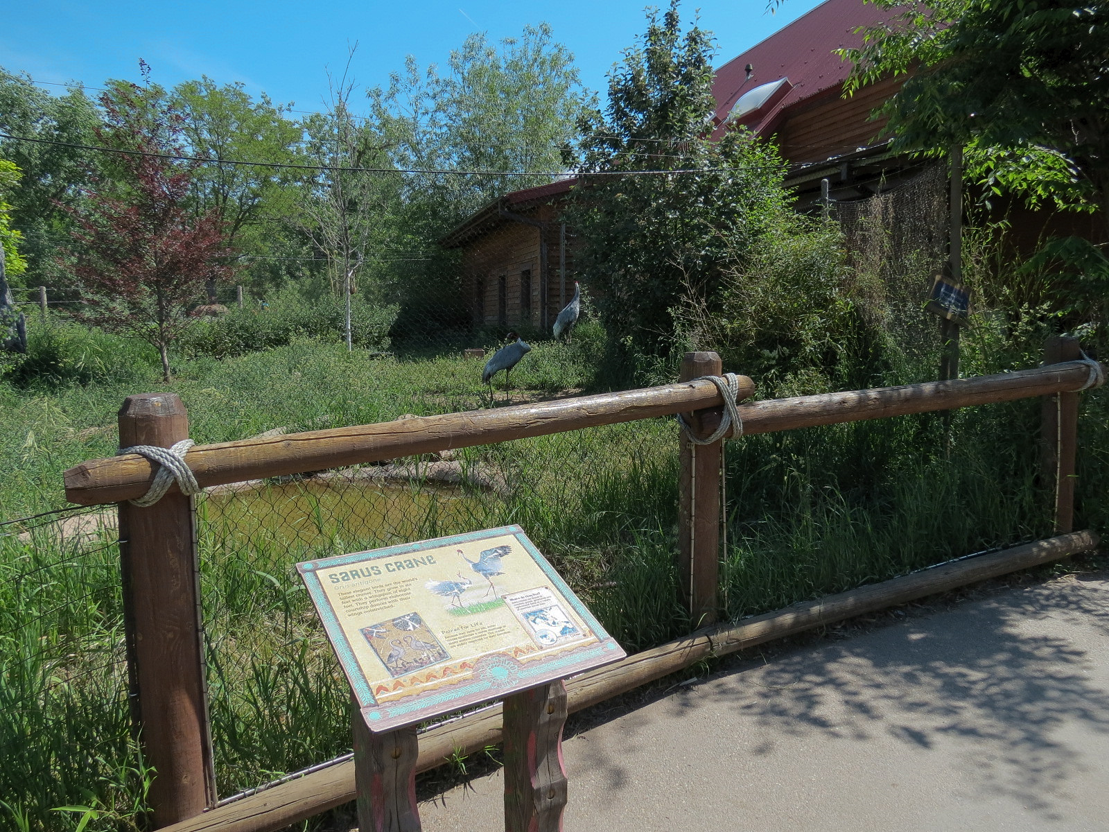 Elephant Passage - Sarus Crane Exhibit