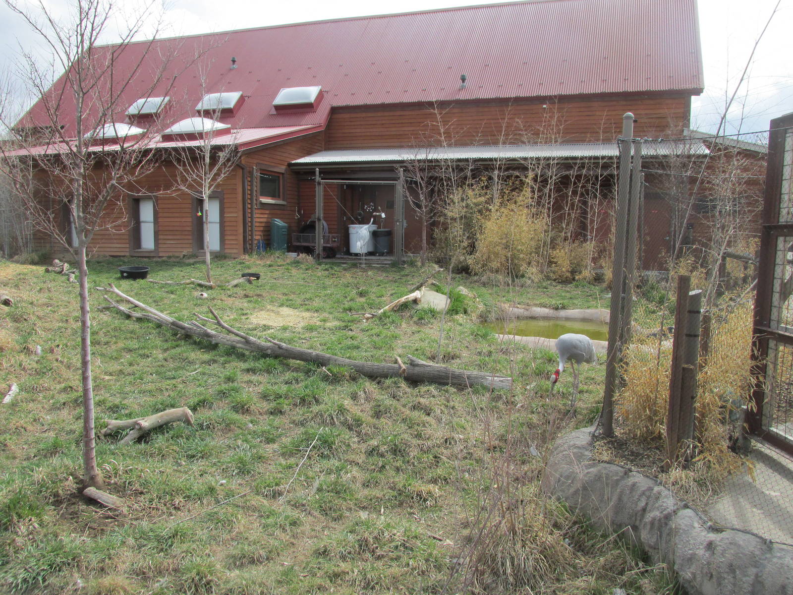 Elephant Passage - Sarus Crane Yard
