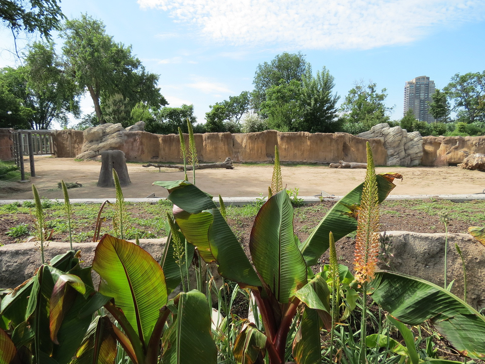 Elephant Passage - Species Roatation Yard East of Elephant House