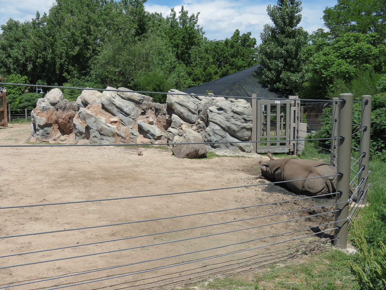 Elephant Passage - Species Rotation Yard Adjacent to Gibbon Exhibit