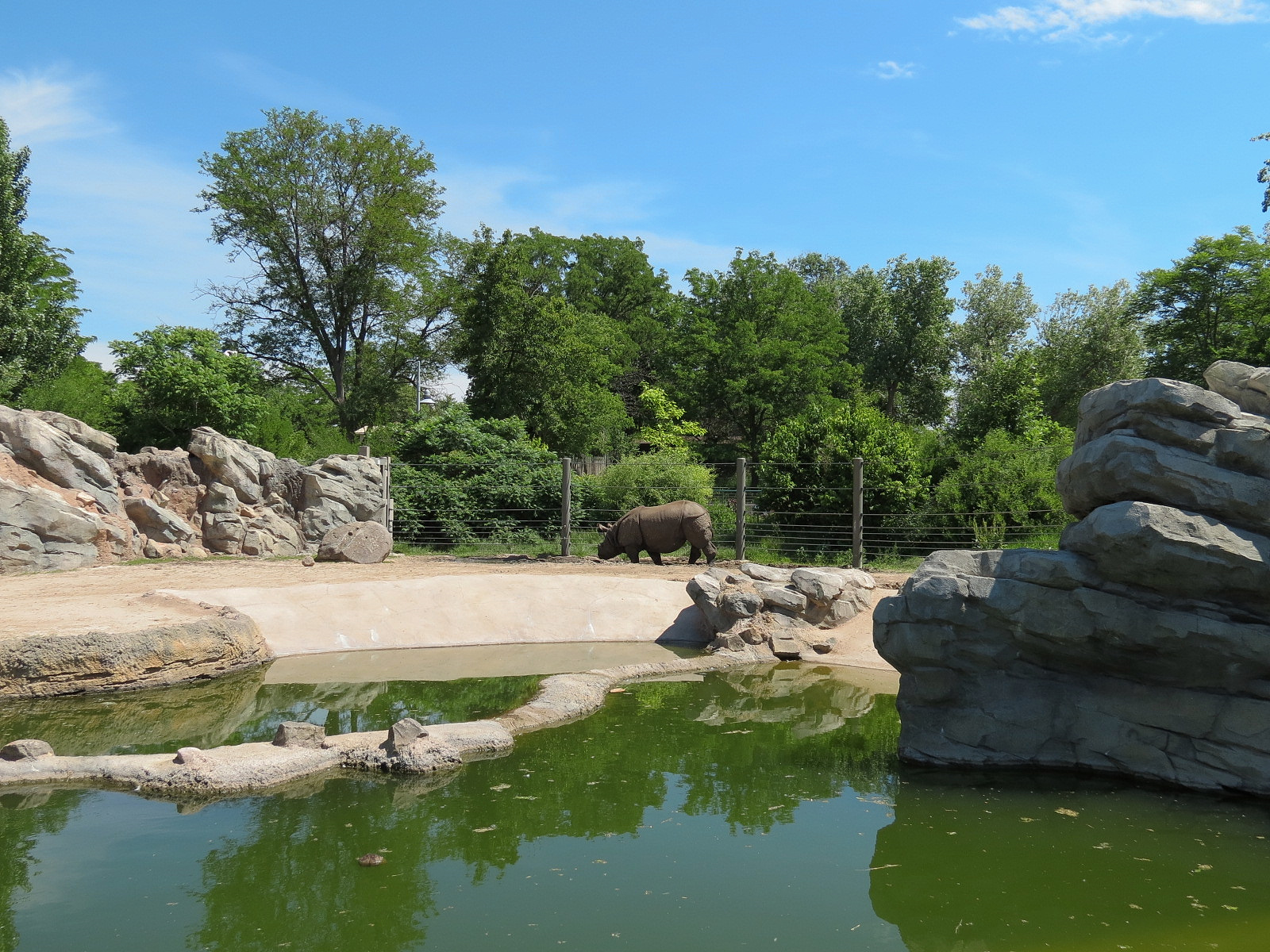 Elephant Passage - Species Rotation Yard Adjacent to Gibbon Exhibit