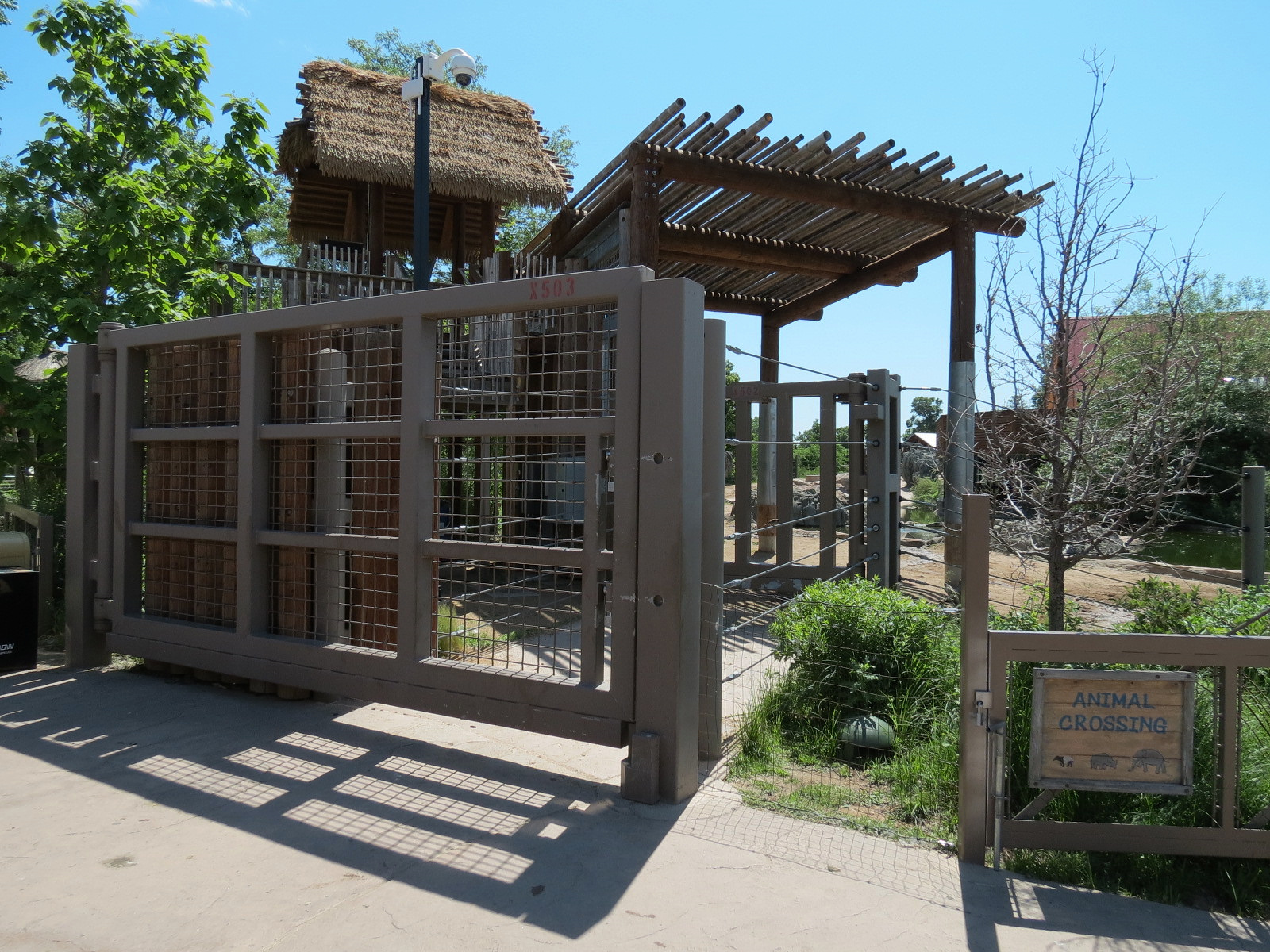 Elephant Passage - Species Rotation Yard Adjacent to Village Hall