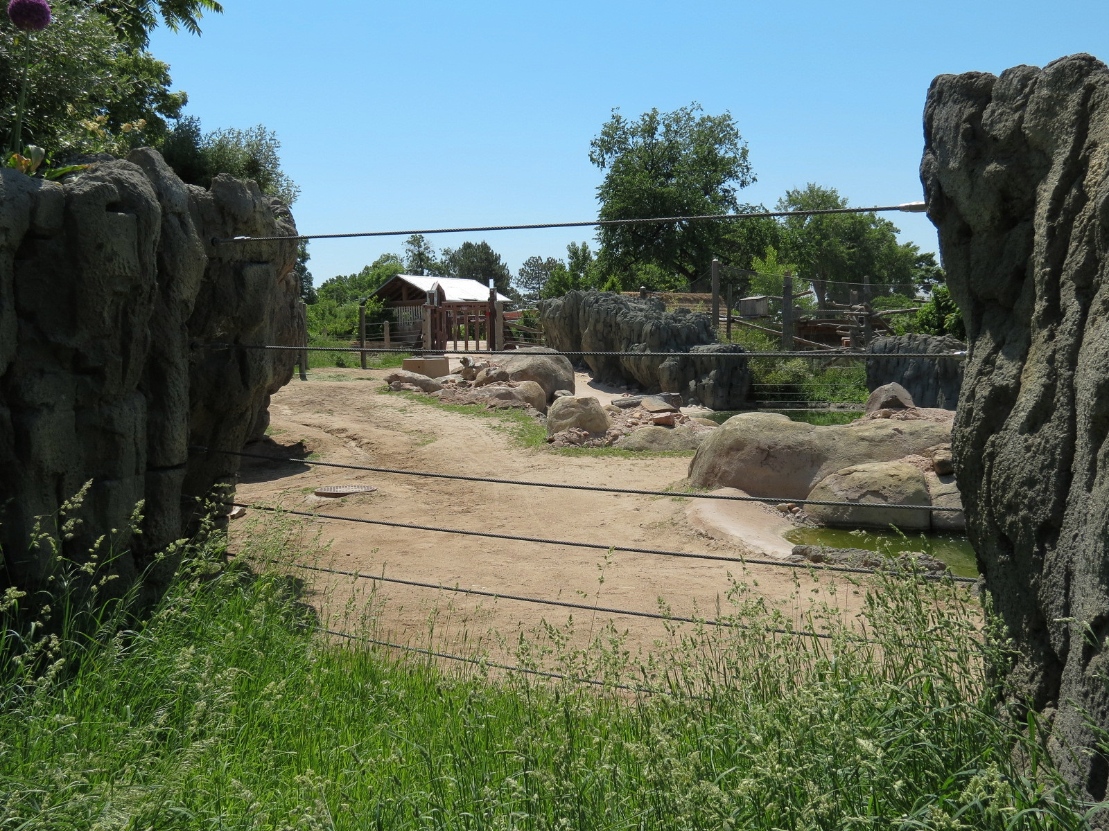 Elephant Passage - Species Rotation Yard Adjacent to Village Hall
