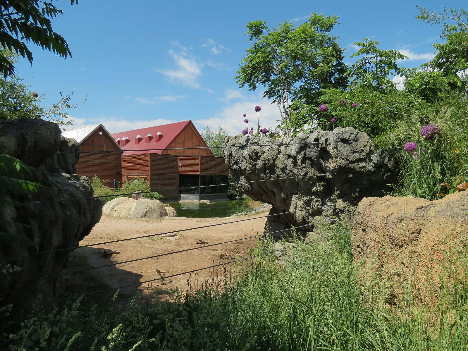 Elephant Passage - Species Rotation Yard Adjacent to Village Hall