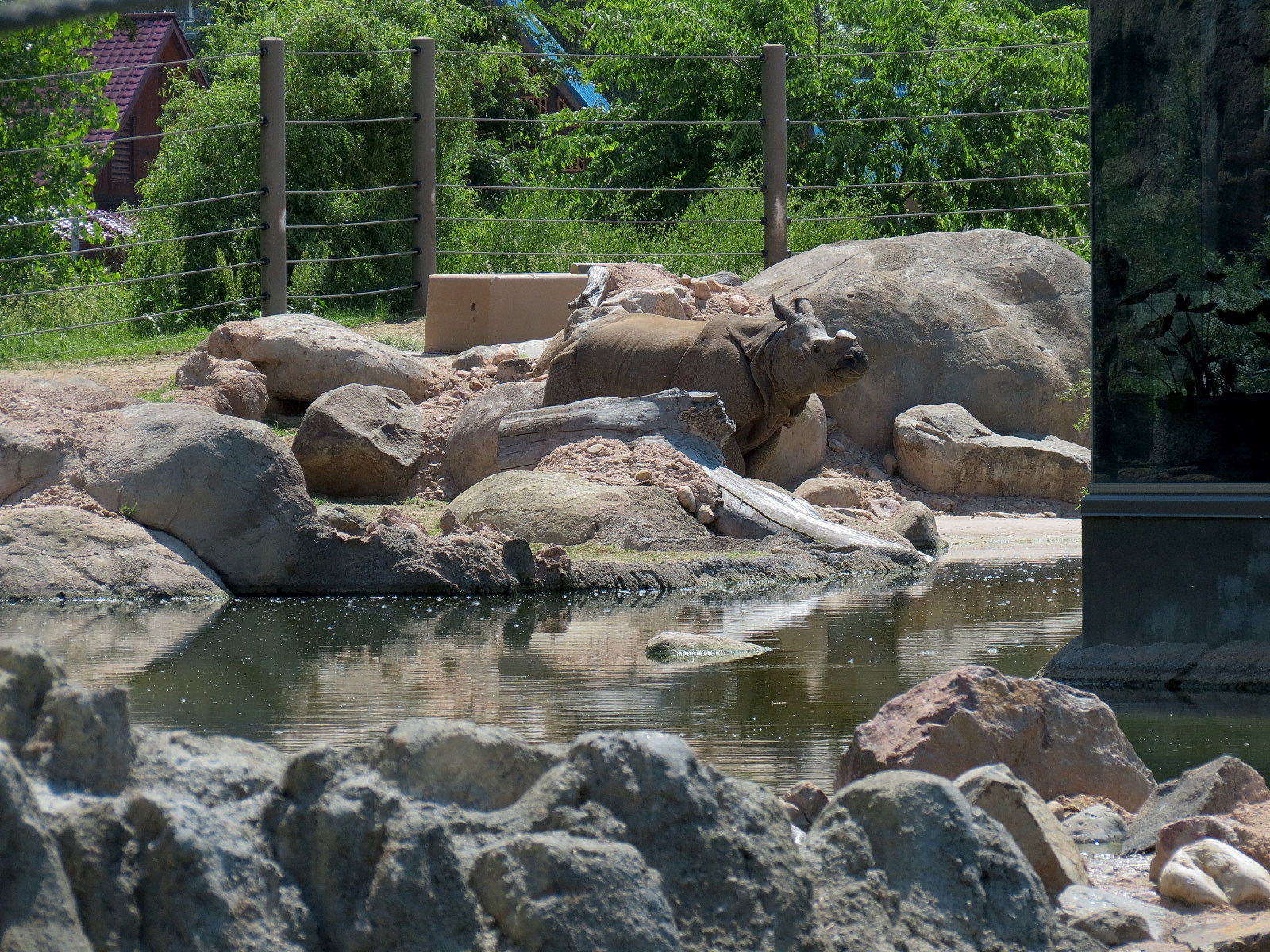 Elephant Passage - Species Rotation Yard Adjacent to Village Hall