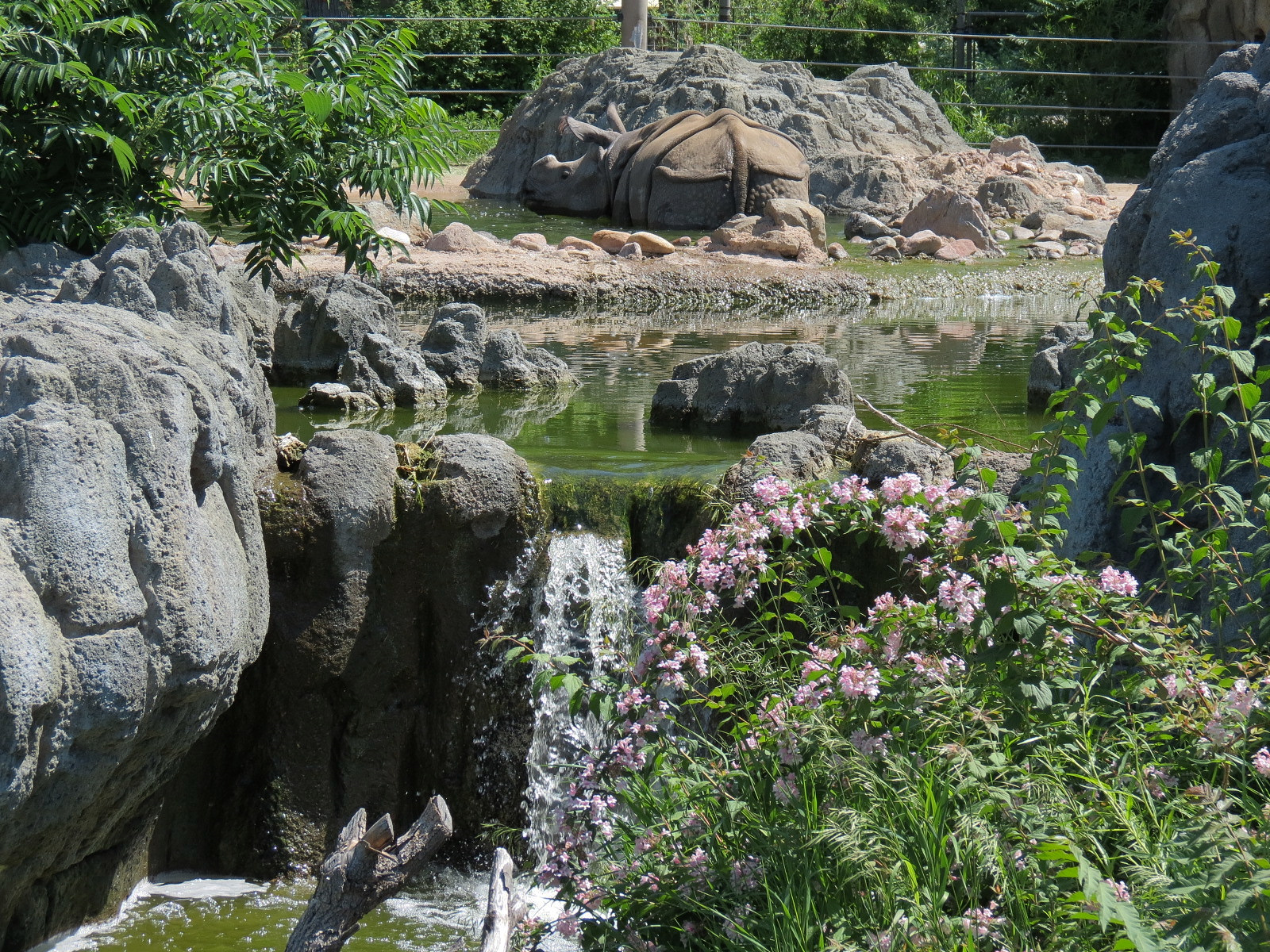 Elephant Passage - Species Rotation Yard Adjacent to Village Hall
