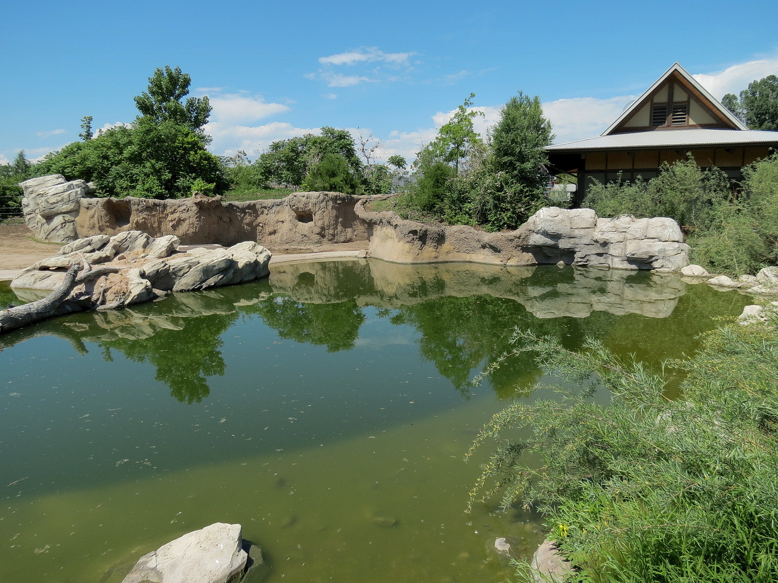 Elephant Passage - Species Rotation Yard West of Elephant House