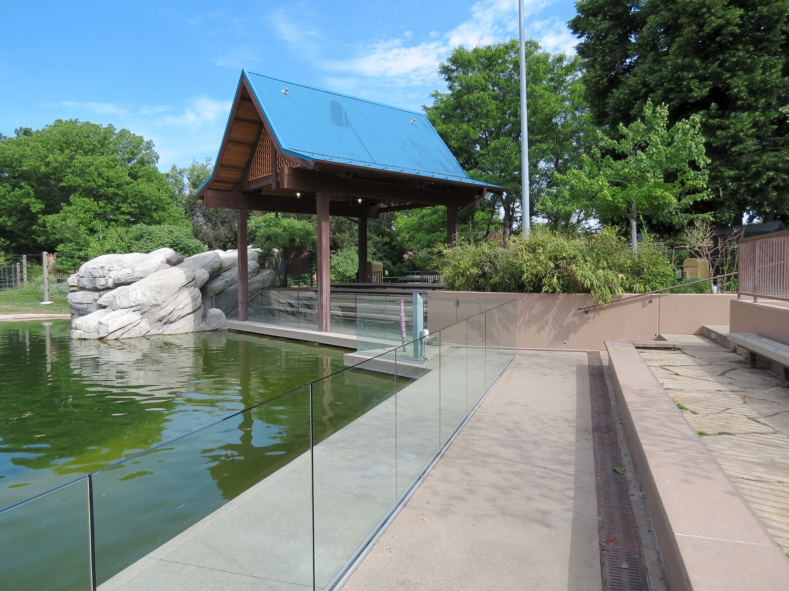 Elephant Passage - Species Rotation Yard With Amphitheater