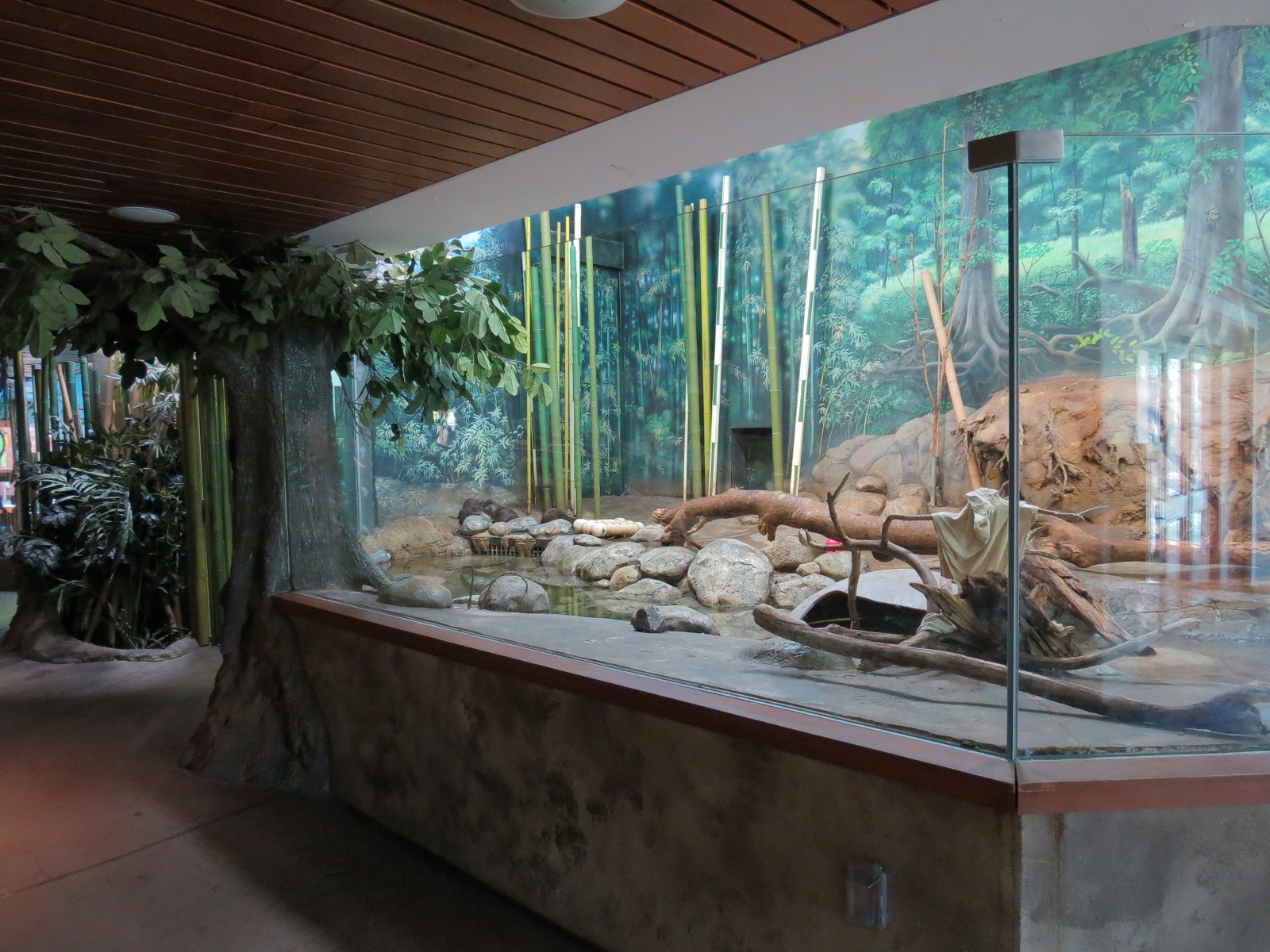 Elephant Passage - Village Hall - Asian Small-clawed Otter Exhibit