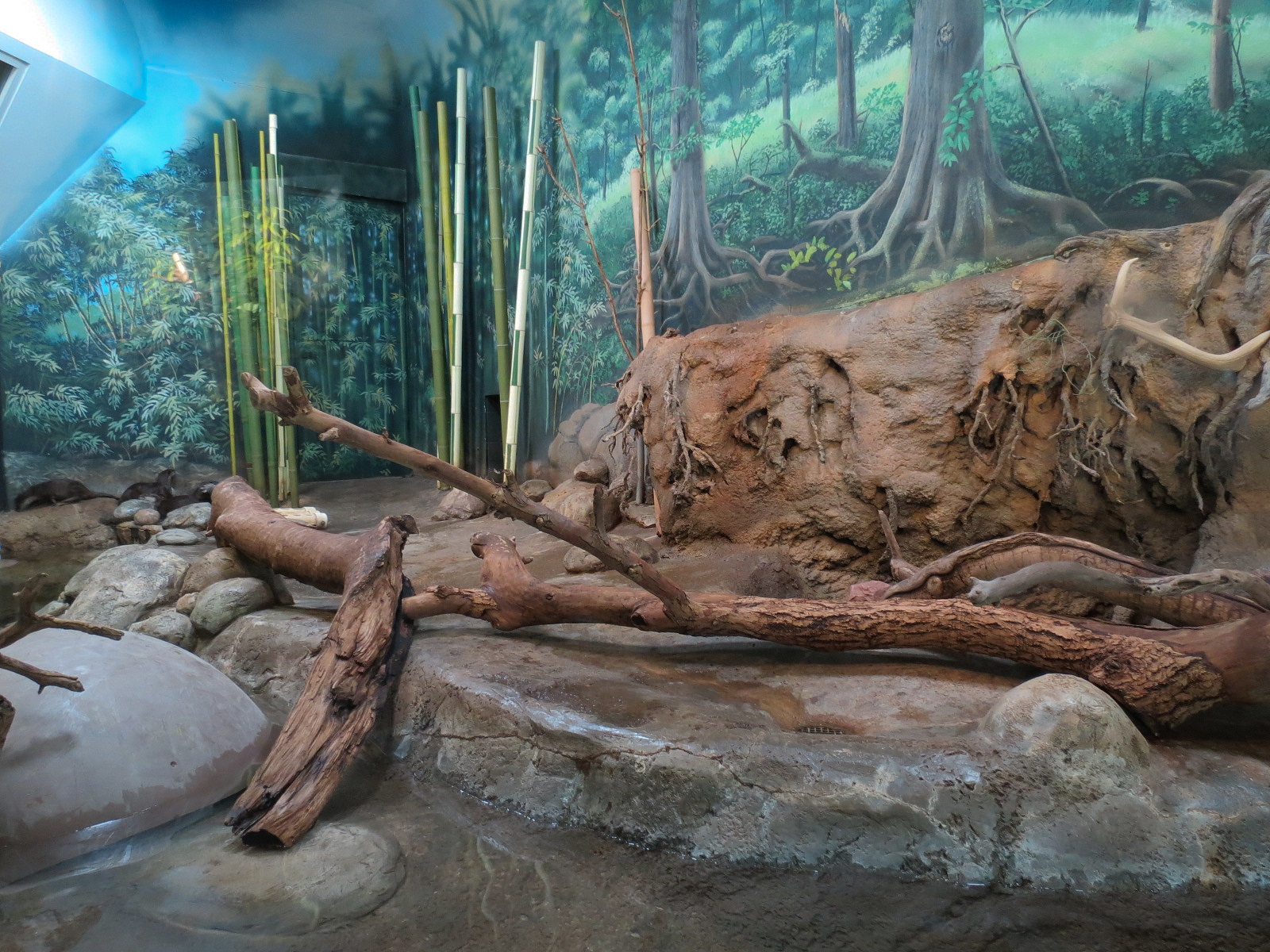 Elephant Passage - Village Hall - Asian Small-clawed Otter Exhibit