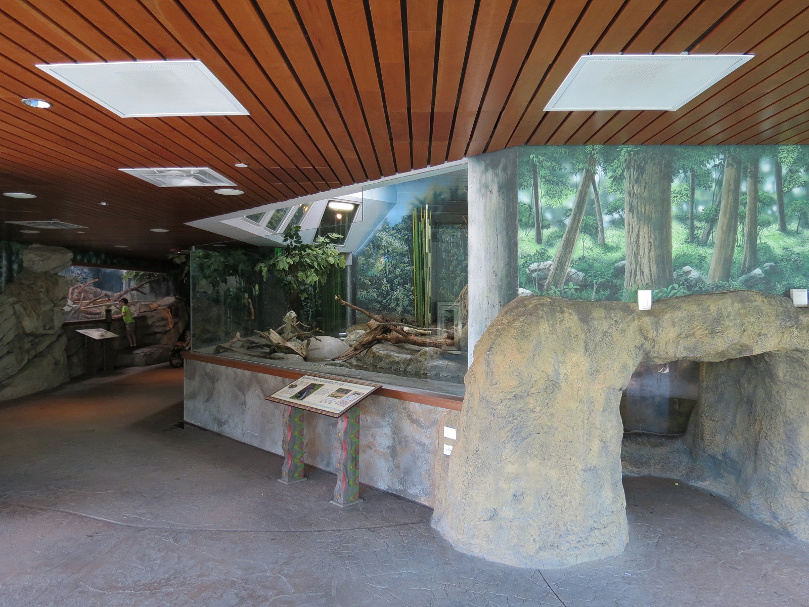 Elephant Passage - Village Hall - Asian Small-clawed Otter Exhibit