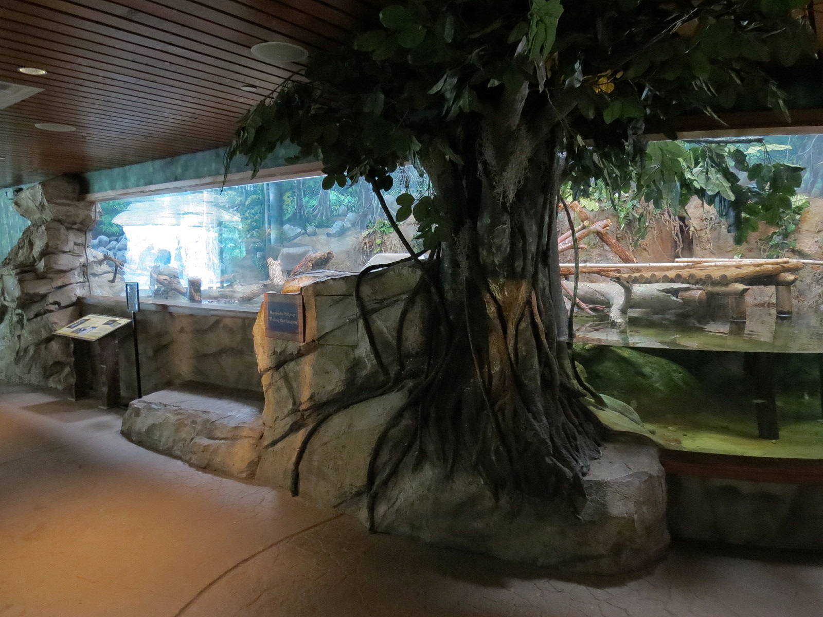 Elephant Passage - Village Hall - Fishing Cat Exhibit