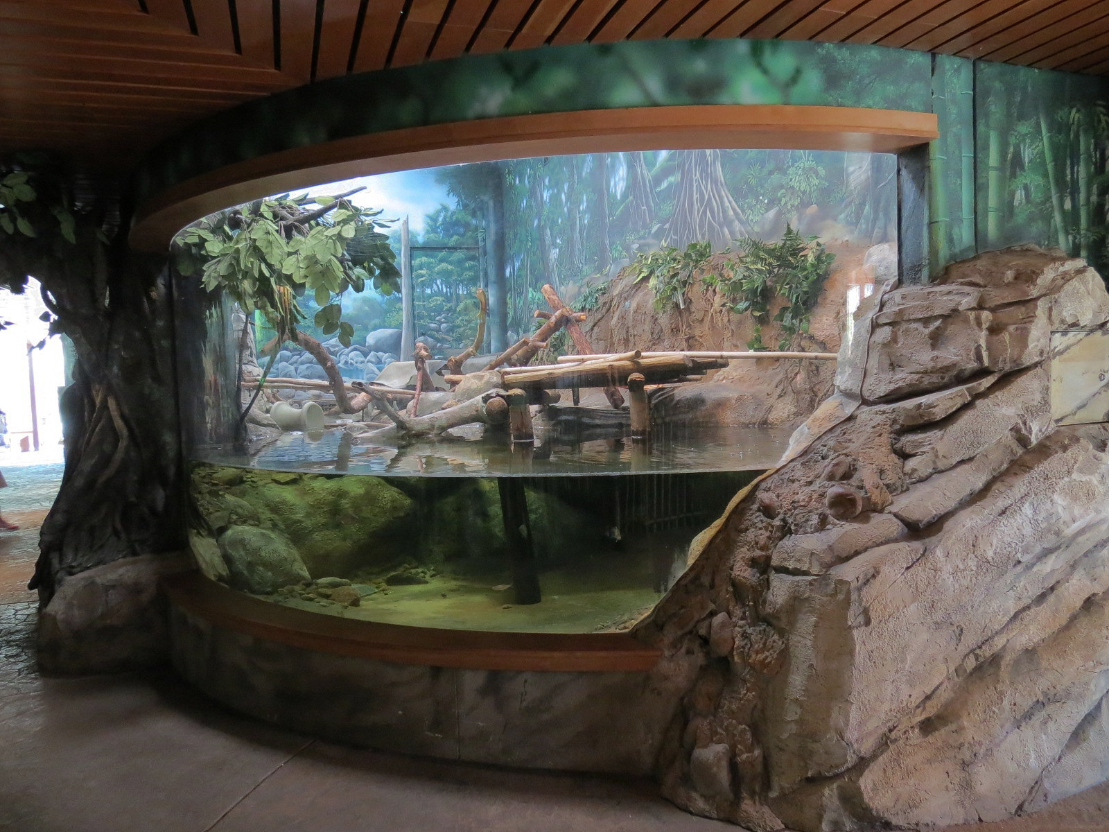 Elephant Passage - Village Hall - Fishing Cat Exhibit