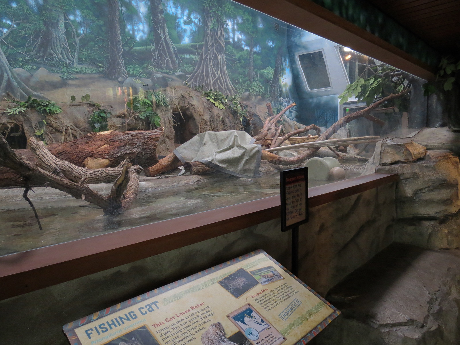 Elephant Passage - Village Hall - Fishing Cat Exhibit