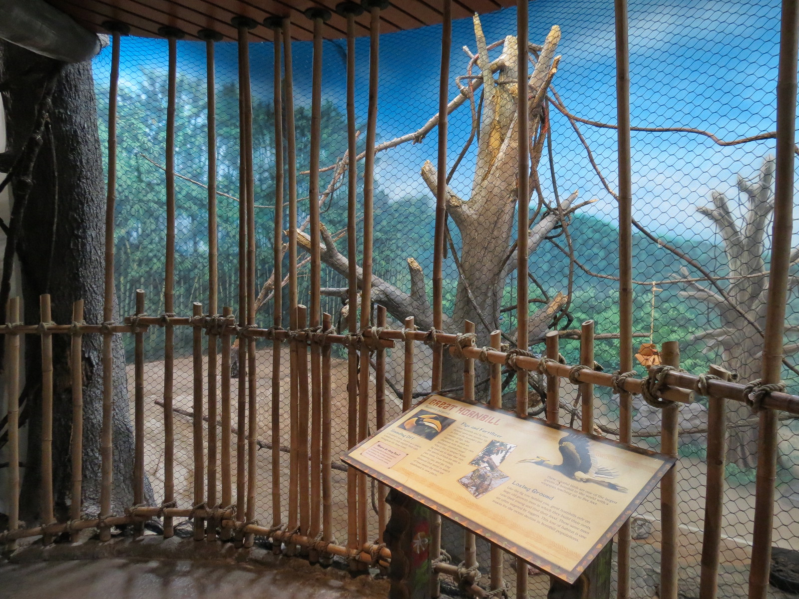 Elephant Passage - Village Hall - Great Hornbill Exhibit