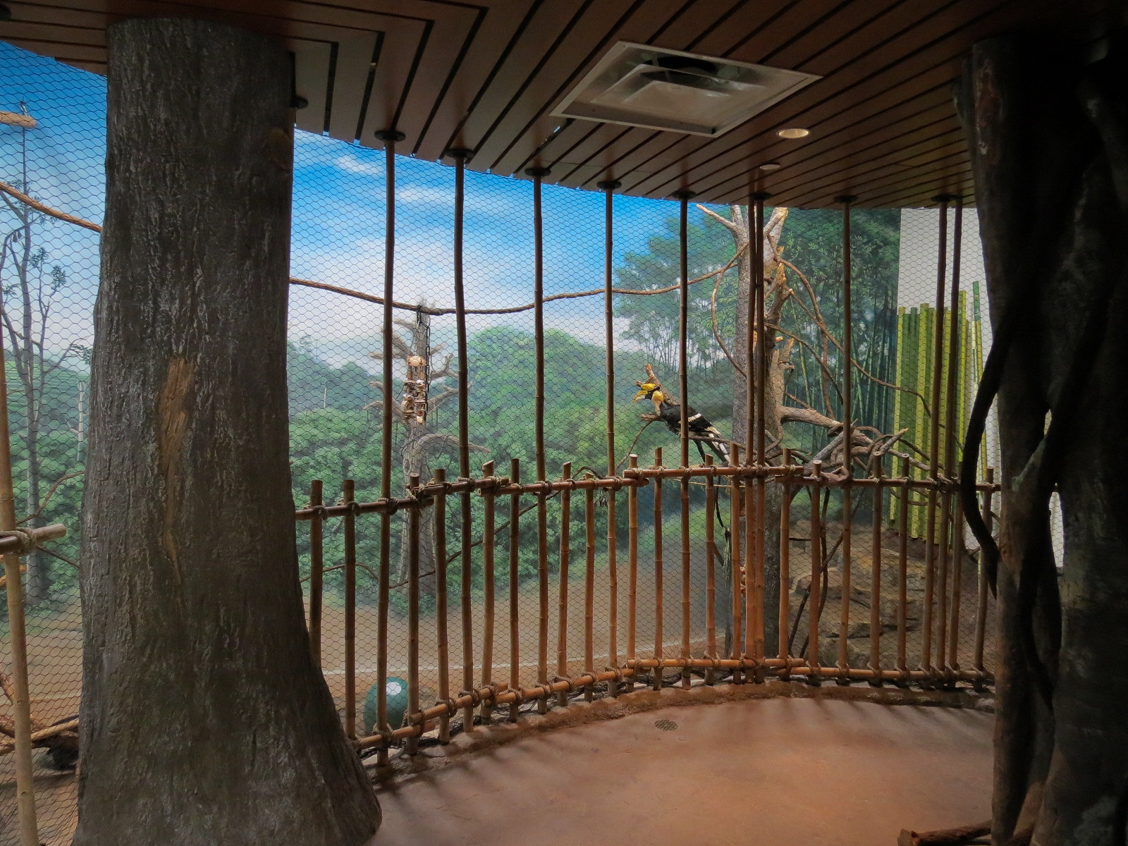 Elephant Passage - Village Hall - Great Hornbill Exhibit