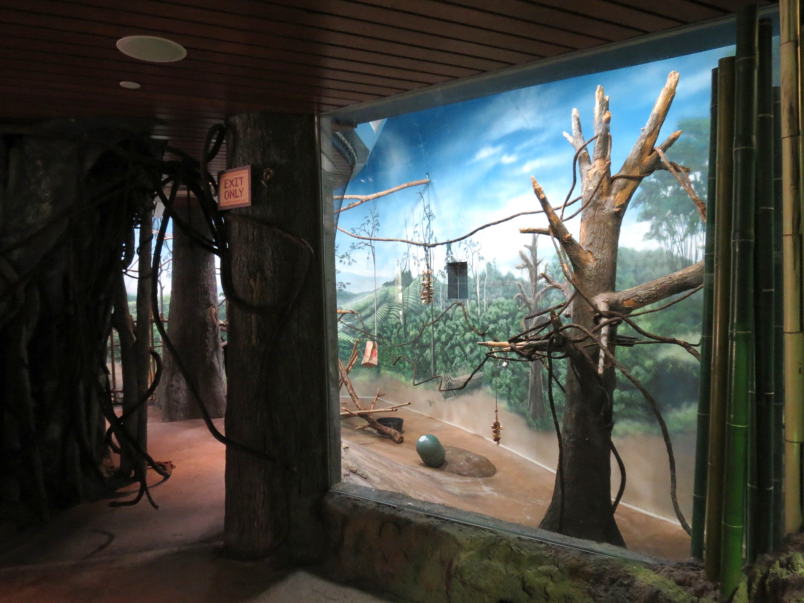 Elephant Passage - Village Hall - Great Hornbill Exhibit