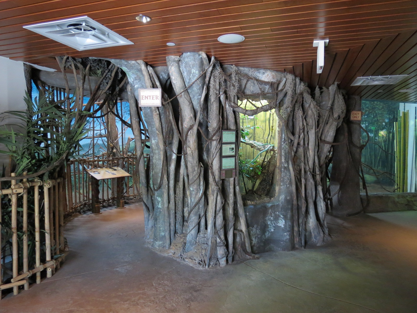 Elephant Passage - Village Hall - Leaf-nosed Rat Snake Exhibit