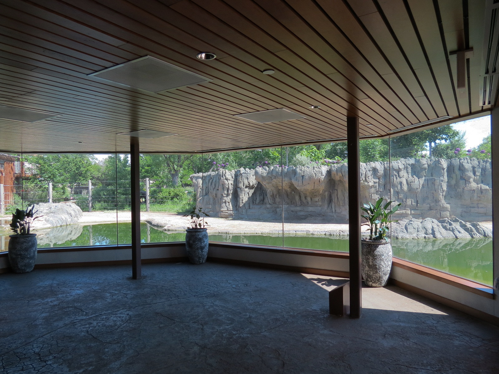 Elephant Passage - Village Hall - View of Species Rotation Yard