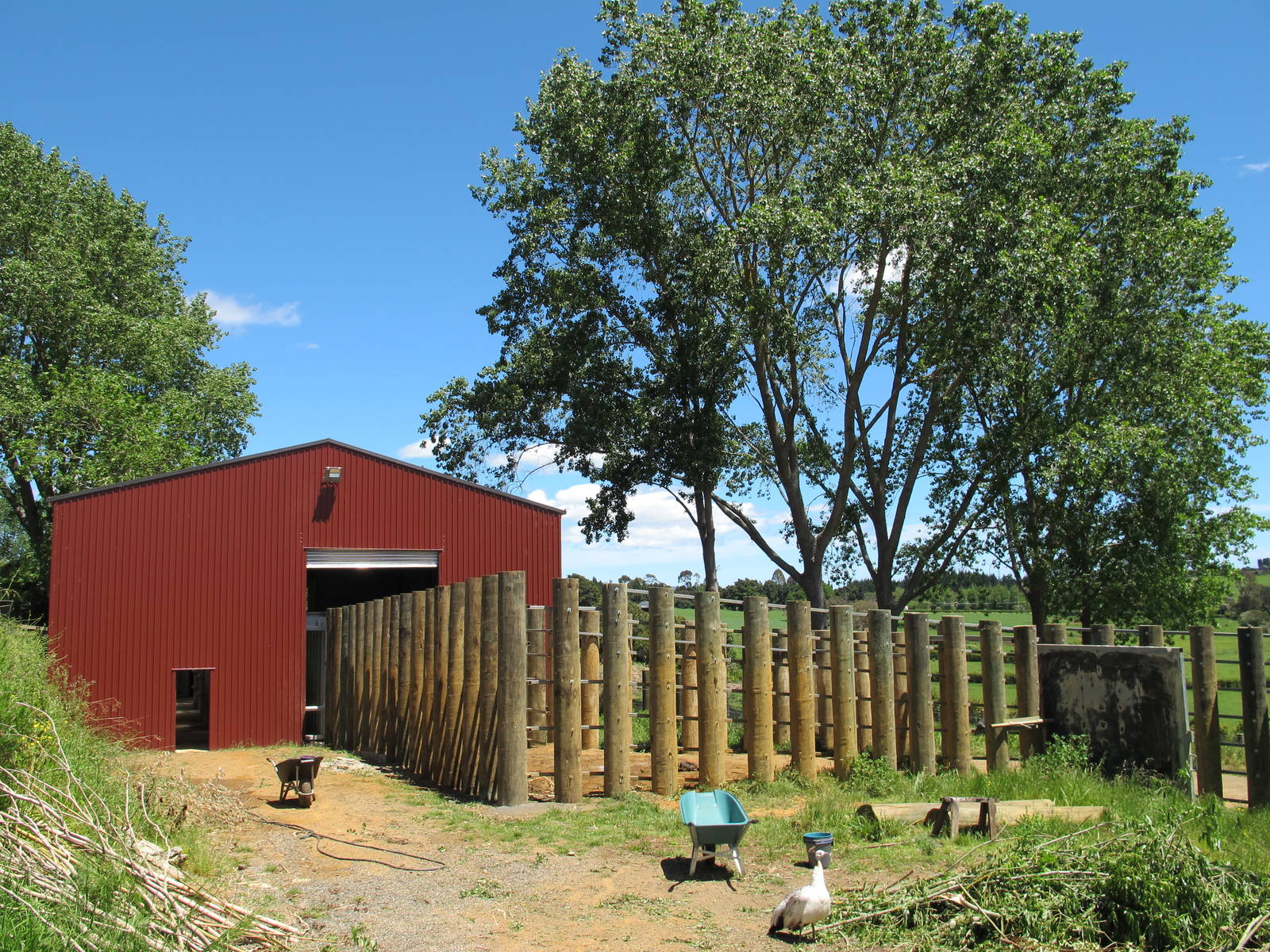 Elephant Pen - Franklin Zoo