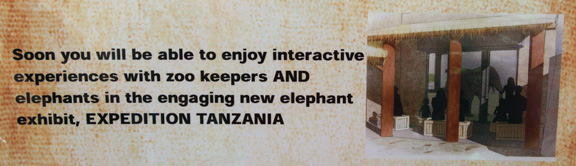 elephant plans 1 of 5