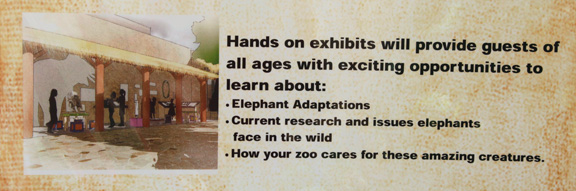 elephant plans 2 of 5