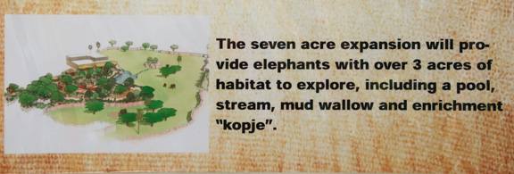 elephant plans 4 of 5