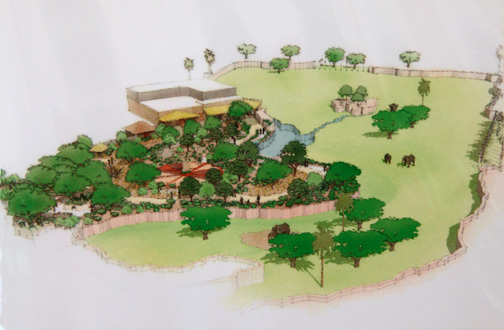 elephant plans 5 of 5