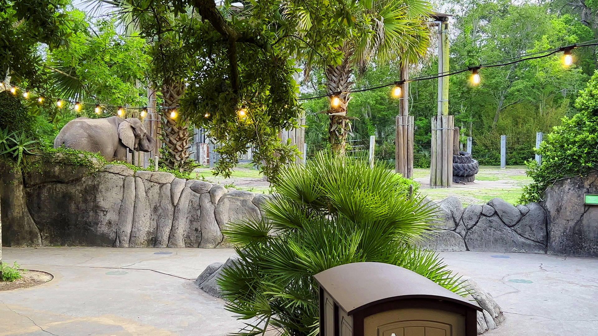 Elephant Plaza At Sunset