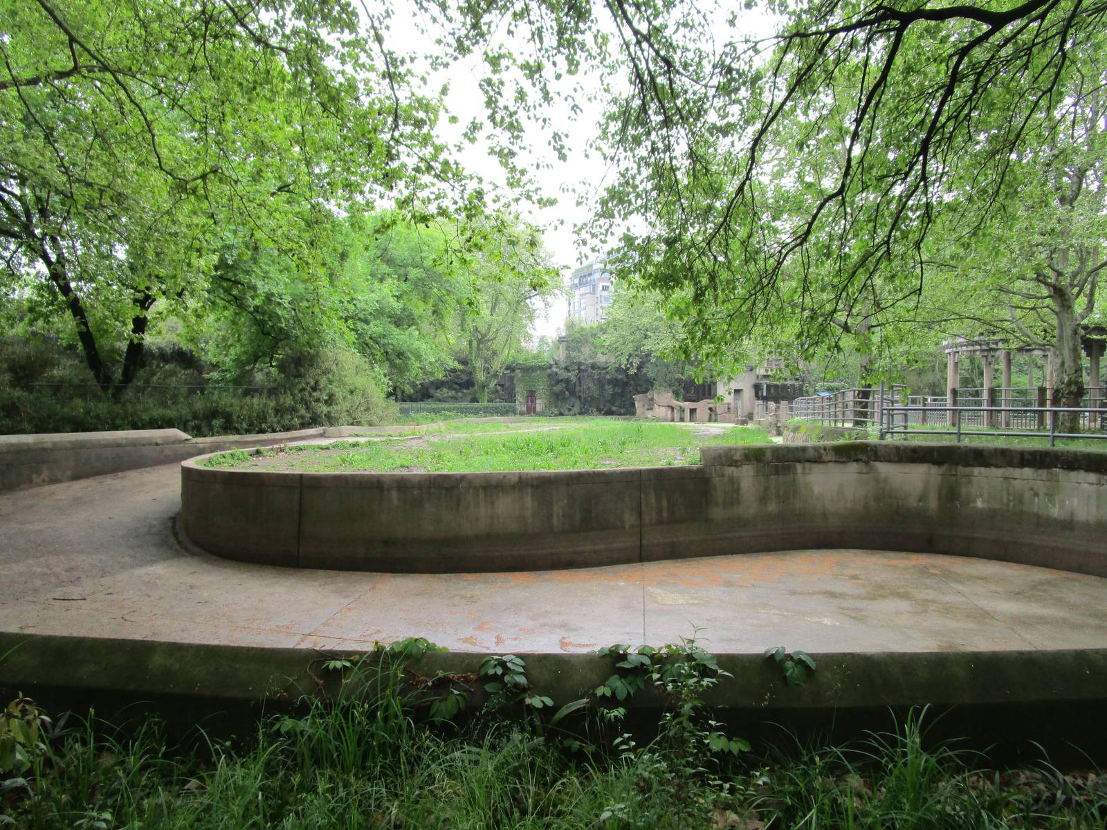 Elephant Pool - 16/04/2016