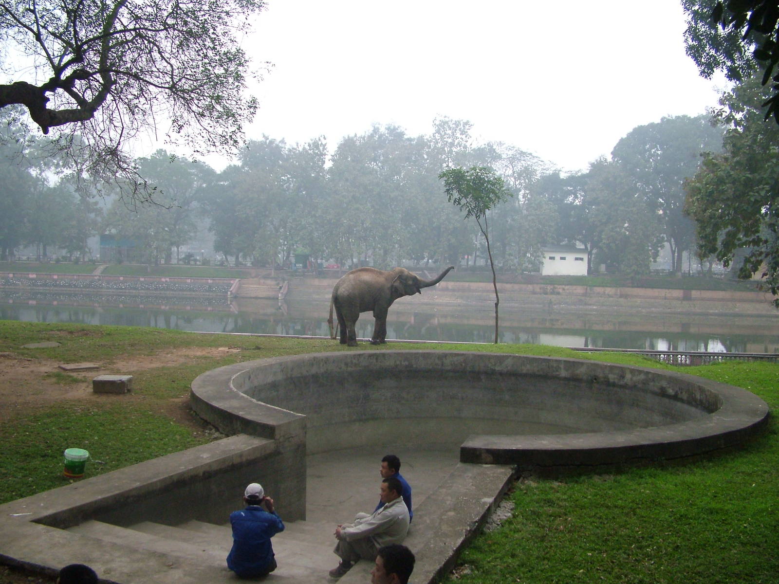 Elephant Pool at Hanoi Zoo, 15/03/12