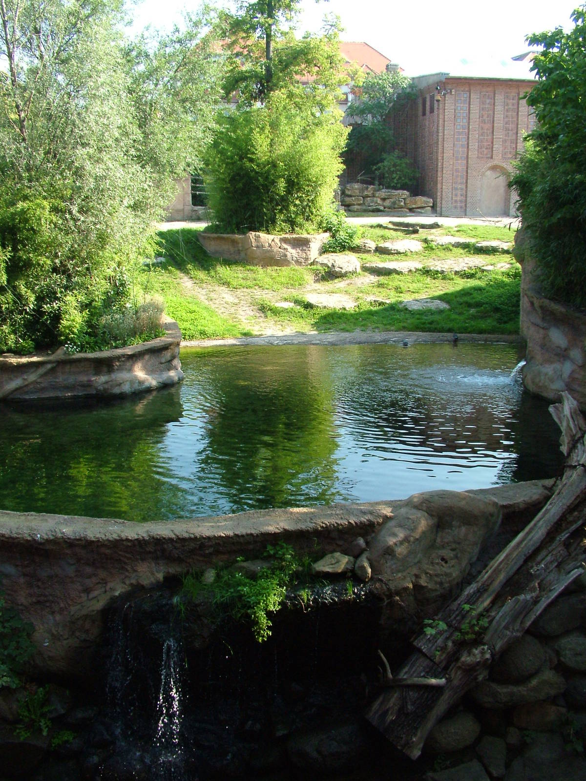 Elephant Pool at Leipzig, 02/09/11