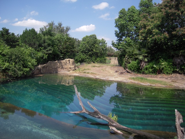Elephant Pool - Kilamanjaro Safari