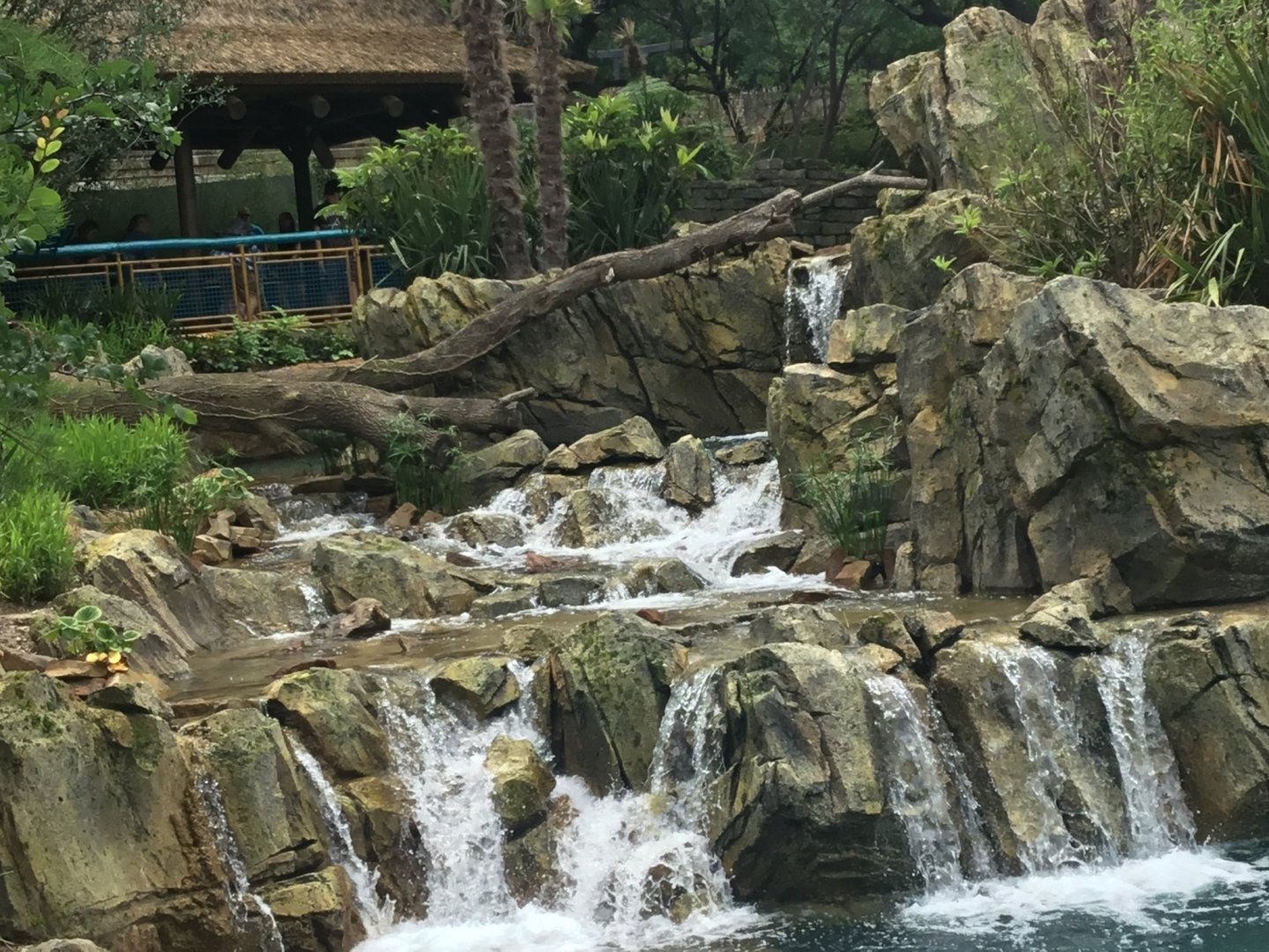 Elephant Pool Waterfall