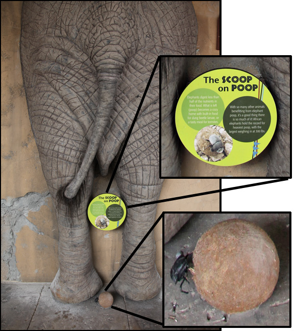 elephant rear (simulated)