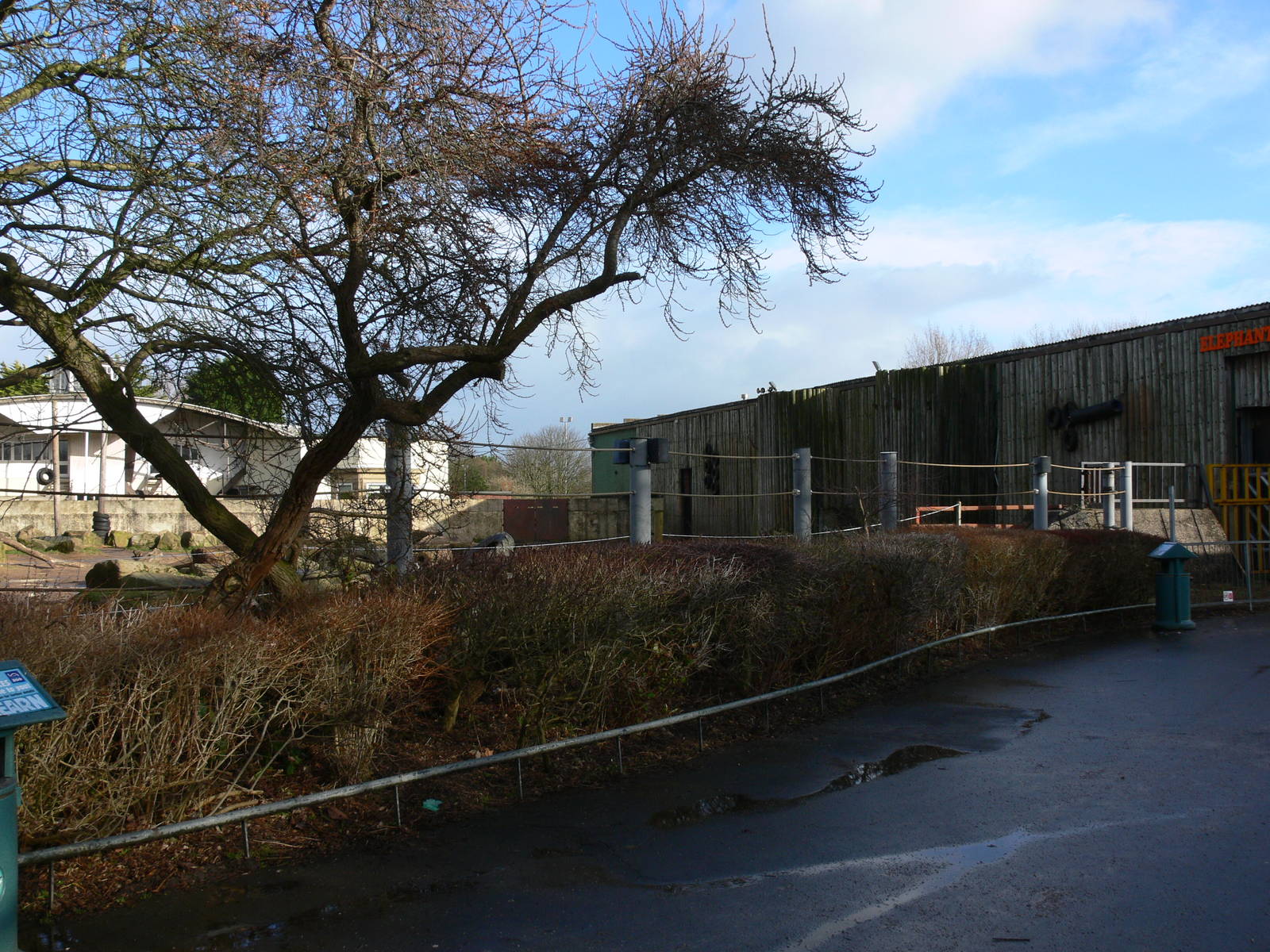 Elephant/Reptile House at Blackpool Zoo, 27/01/13